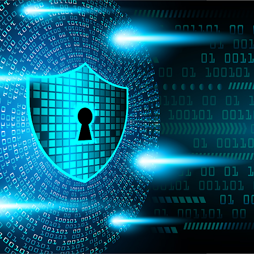 Cyber Security Talent